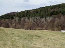 SY-352.jpg