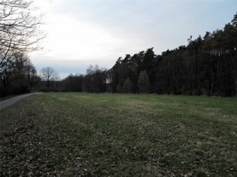 SY-501.jpg