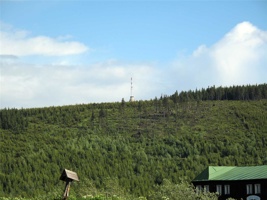 PN-230.jpg
