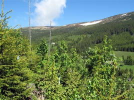 PN-285.jpg