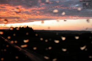 polesi_200905282056.jpg