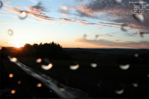 polesi_200906072100.jpg