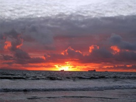 IMG_0343.jpg