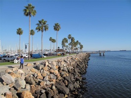 IMG_0807.jpg