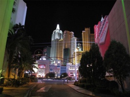 IMG_1446.jpg
