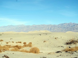 IMG_1890.jpg