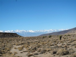 IMG_1949.jpg