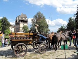 QO-131.jpg