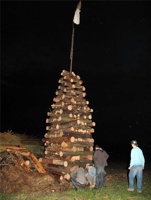 TC-111.jpg