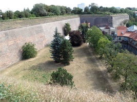 QP-069.jpg