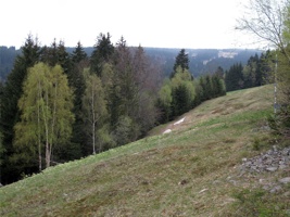 TE-289.jpg