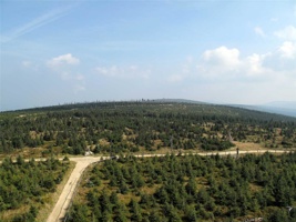 QU-599.jpg