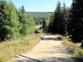 QV-100.jpg