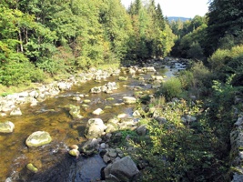 QV-156.jpg
