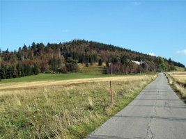 QV-179.jpg