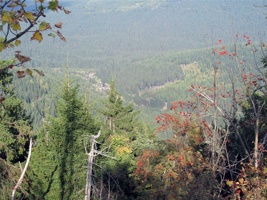 QV-215.jpg