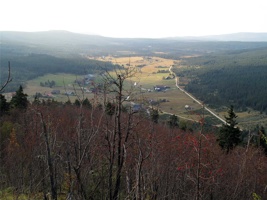 QV-228.jpg
