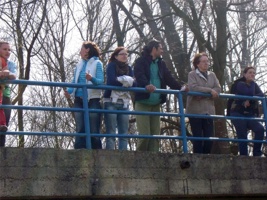 DSCN8032.jpg