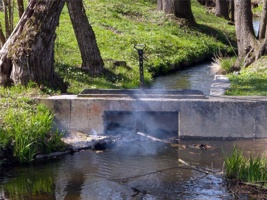 DSCN8039.jpg