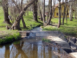DSCN8040.jpg