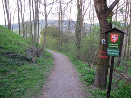 WQ-058.jpg