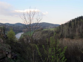 WQ-064.jpg