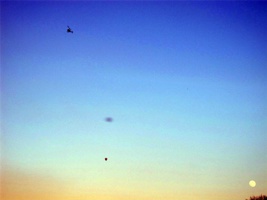 WQ-069.jpg