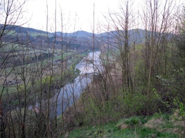 WQ-082.jpg