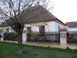 WQ-097.jpg