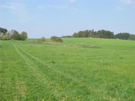 WR 125.jpg