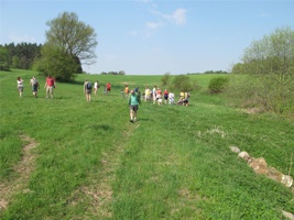 WR 149.jpg