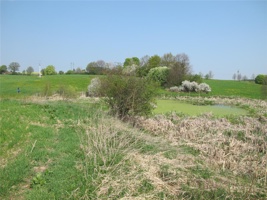 WR 158.jpg