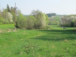 WR 165.jpg