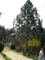 WR 199.jpg