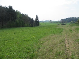 WR 204.jpg