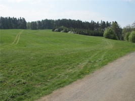 WR 232.jpg