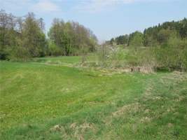 WR 236.jpg