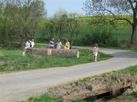 WR 242.jpg