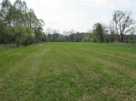 WR 244.jpg