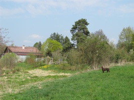 WR 245.jpg