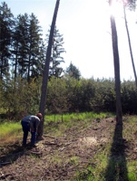 WX-017.jpg