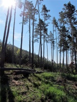 WX-020.jpg