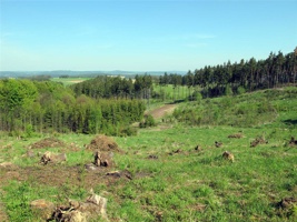 WX-025.jpg