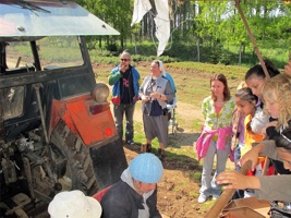 WX-038.jpg