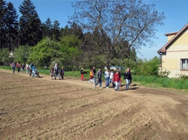 WX-043.jpg