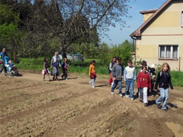WX-044.jpg