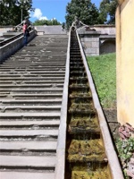 IMG_0480.jpg