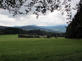 YK-341.jpg