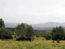 YK-388.jpg