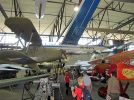 YP-218.jpg
